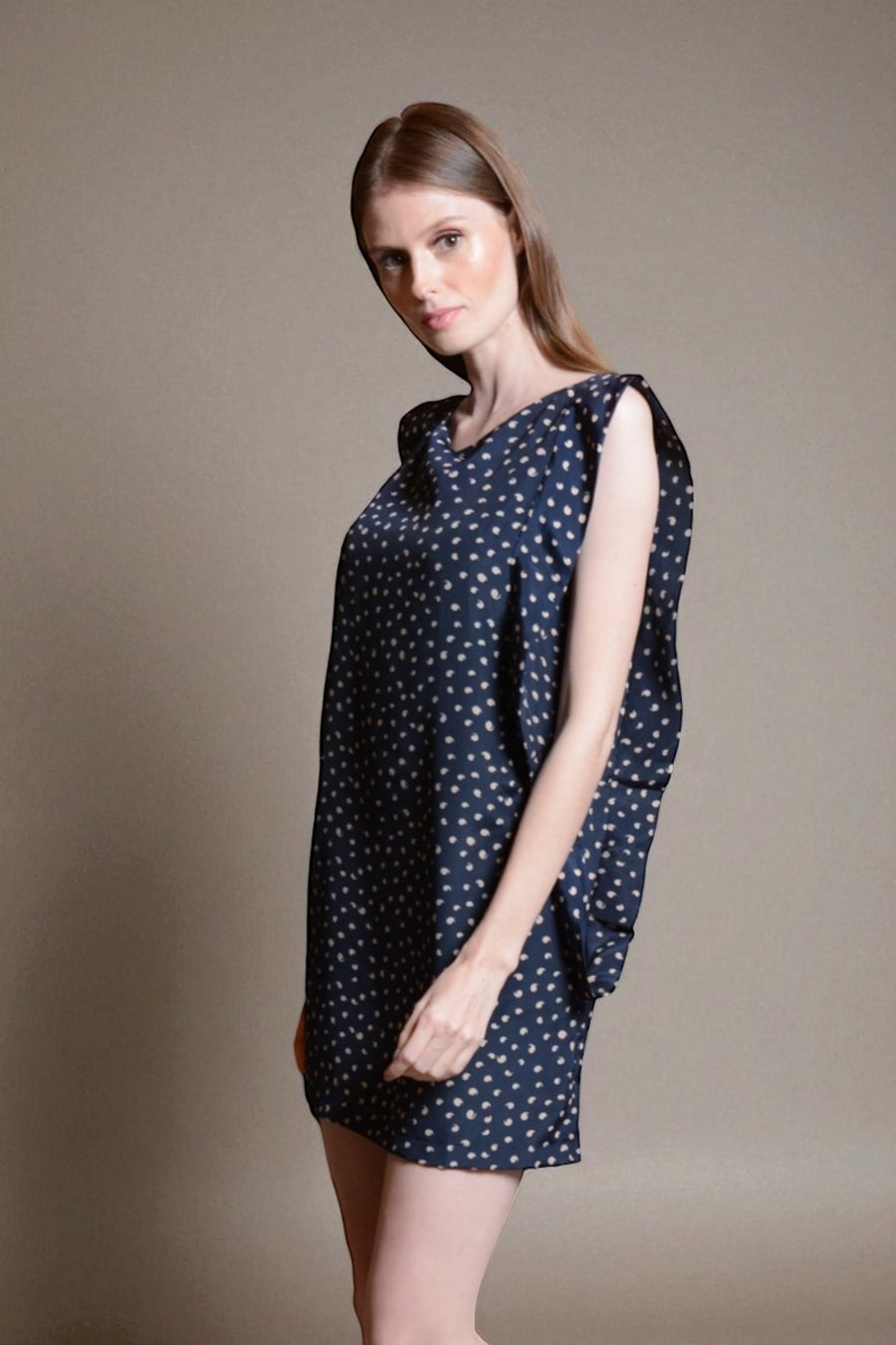 DOLLY Panel Sleeve Dress (Navy)