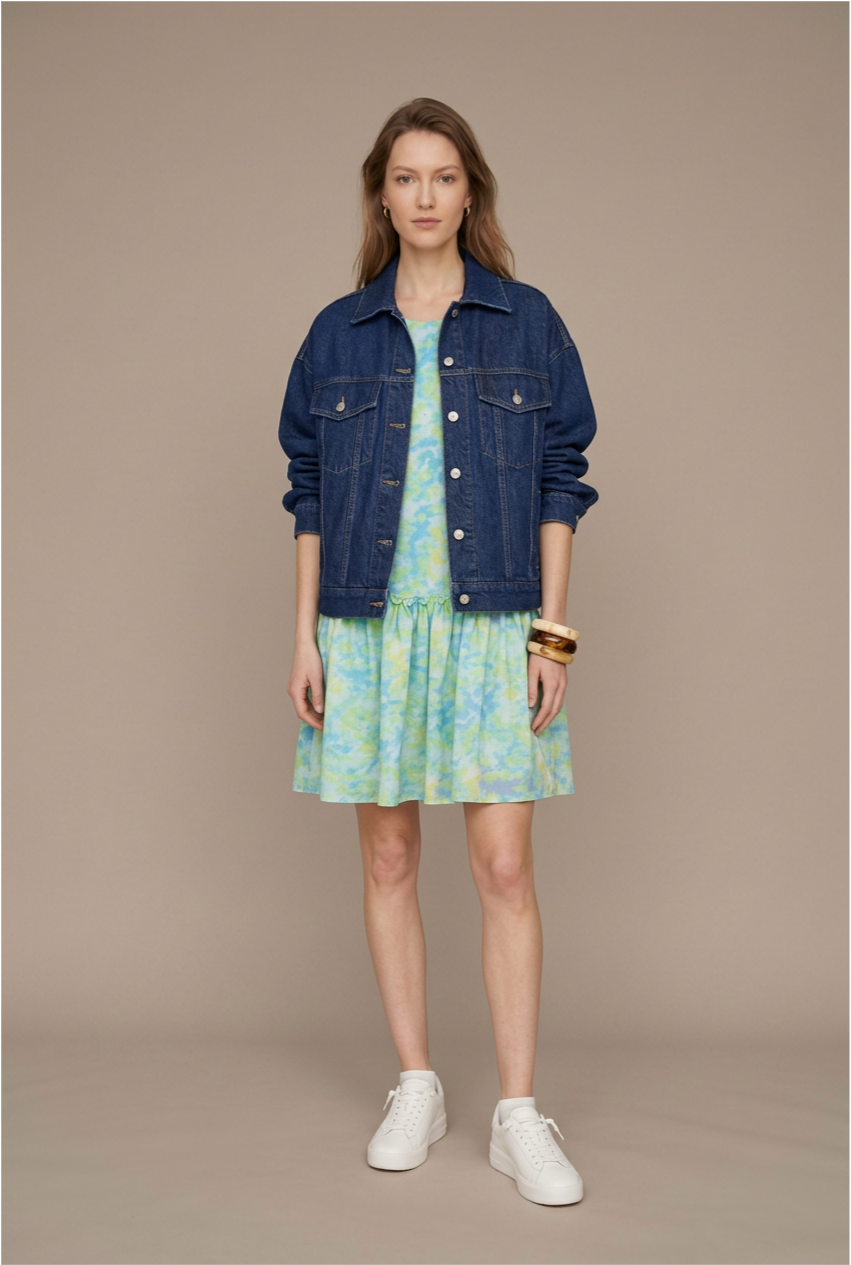 WANDA Drop Waist Chiffon Dress (Green)